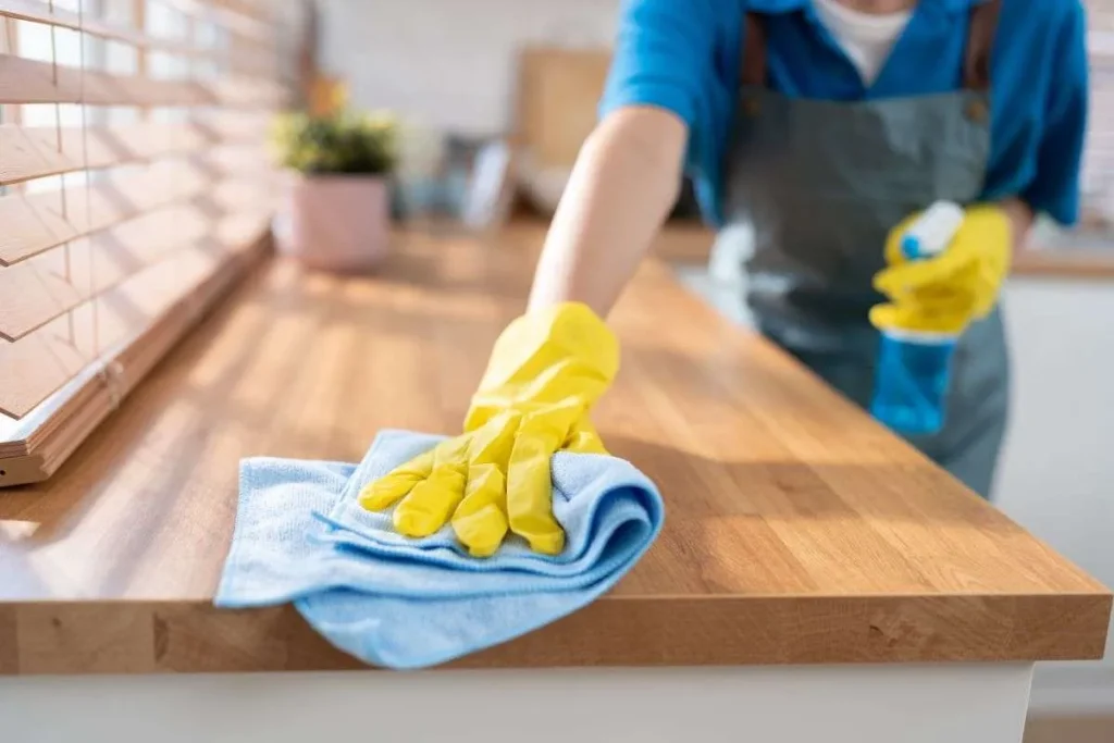 Why-You-Need-Maid-Services cleaning services